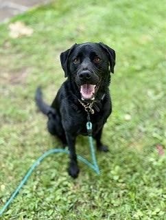 Remi sitting